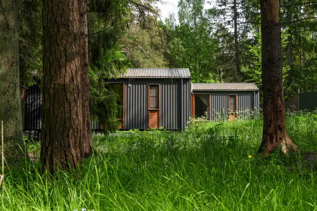 Пихта, Ленинградская область: фото 2