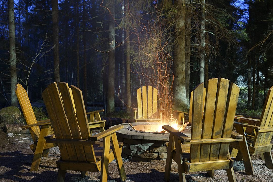 Пихта, Ленинградская область: фото 5