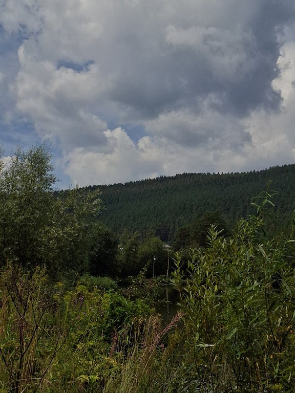 Фото из отзыва от 04.08.2025