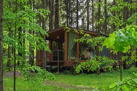 №1 Коттедж, Дома в аренду Пихта, поселок Мамонтовка