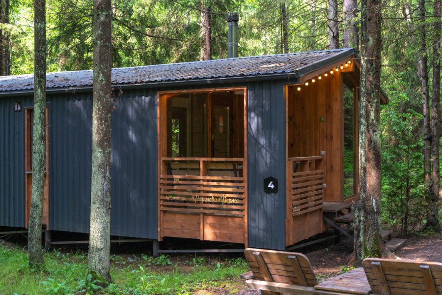 Пихта, Ленинградская область: фото 4