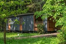 №5 Коттедж, Дома в аренду Пихта, поселок Мамонтовка