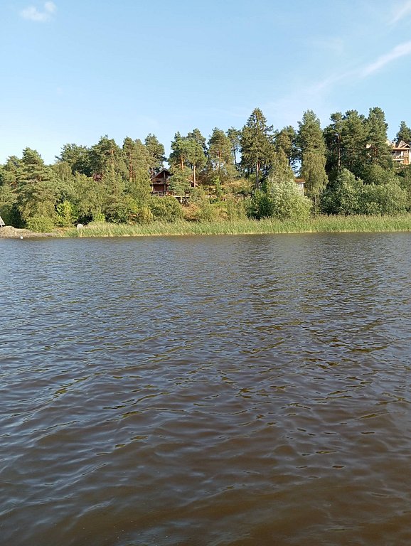 Фото из отзыва от 04.08.2025