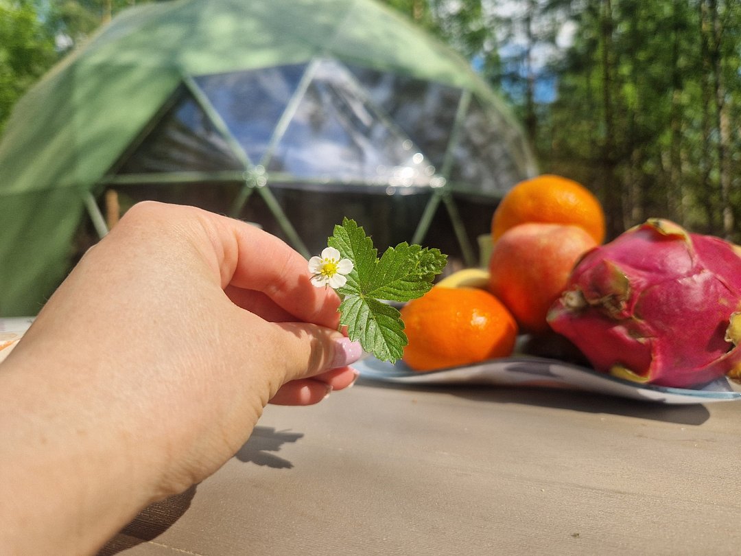 Заповедное место, Ярославская область: фото 4