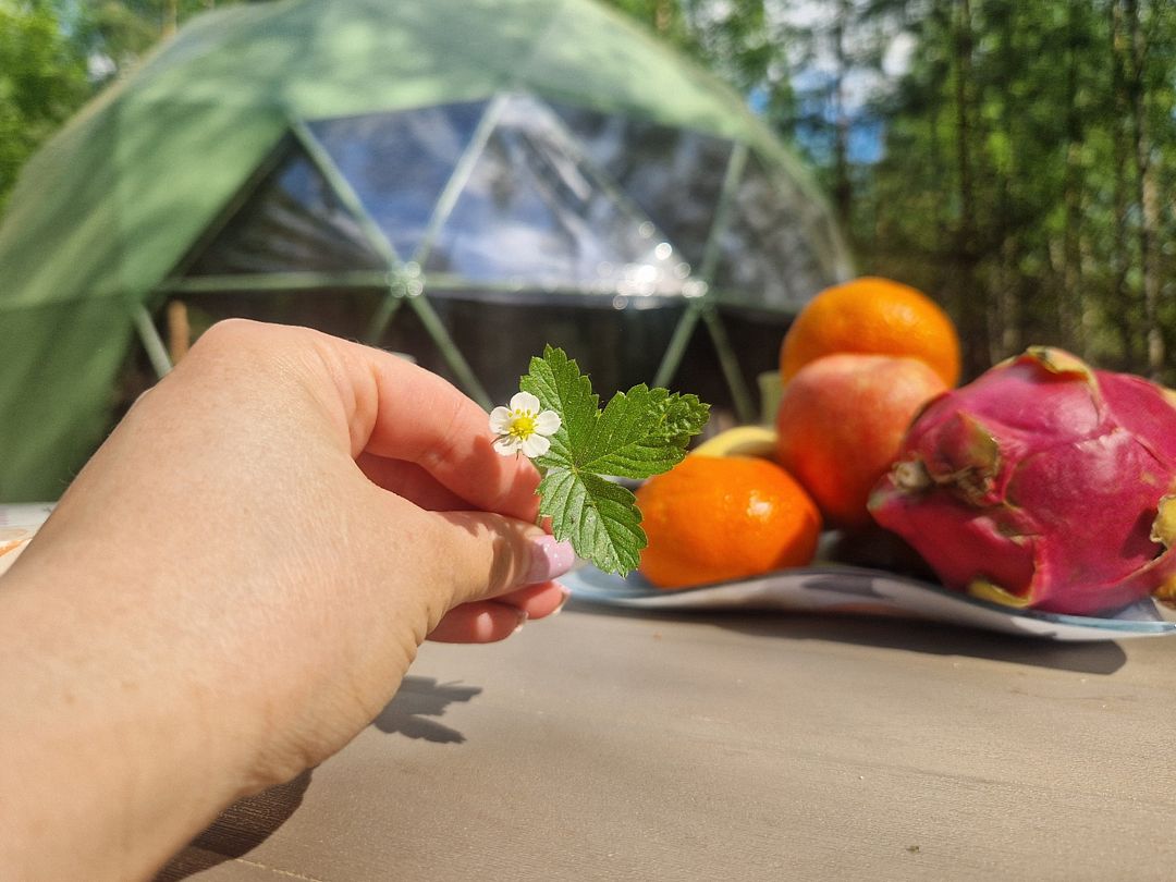 Заповедное место, Ярославская область: фото 4
