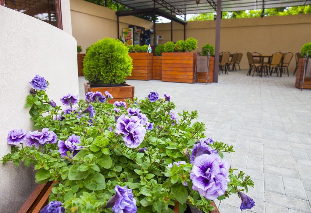 Репруа, Гагрский район: фото 3