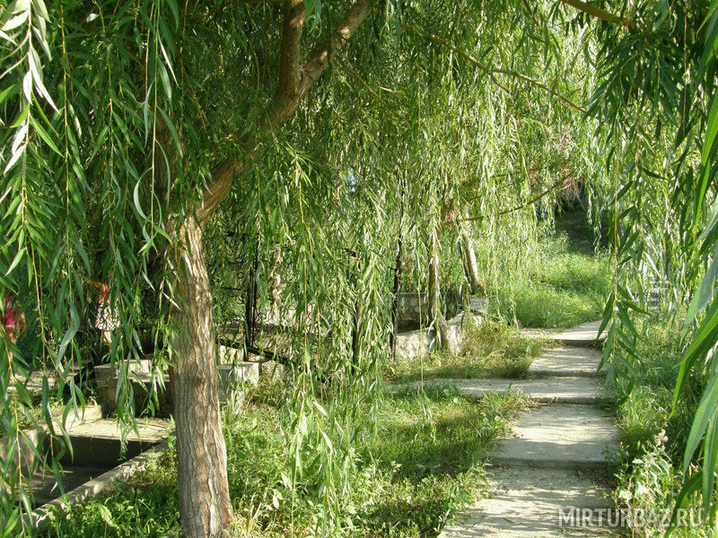 Территория | Атаманский хутор, Самарская область