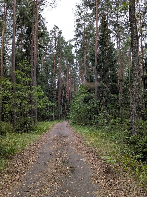 Фото из отзыва от 03.08.2025