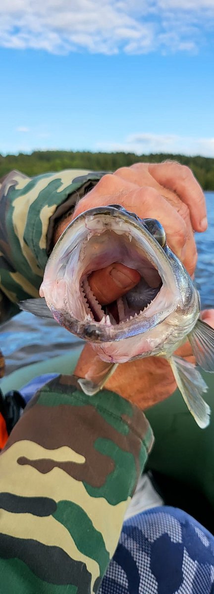 Фото 17 из отзыва о базе отдыха ALDI-Karelia