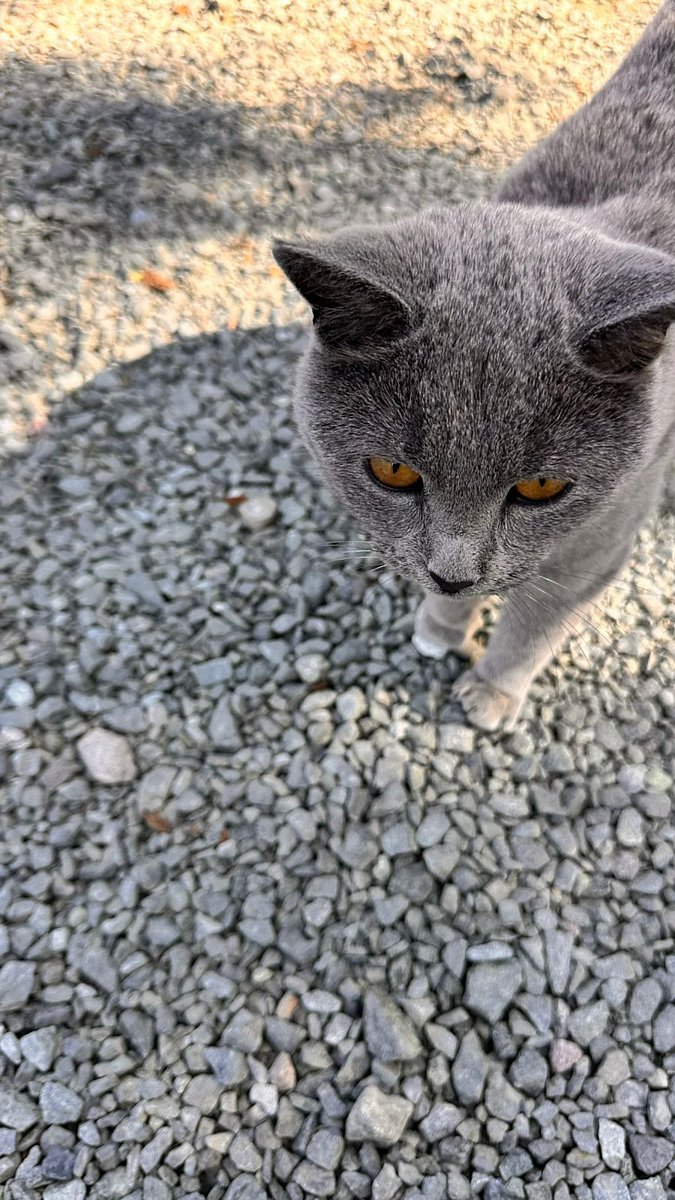 Фото 15 из отзыва о базе отдыха ALDI-Karelia