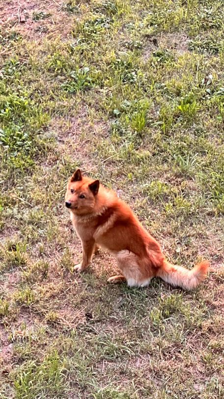 Фото 19 из отзыва о базе отдыха ALDI-Karelia