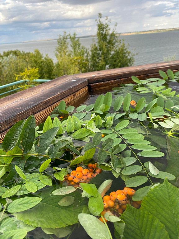 Фото из отзыва от 10.08.2025