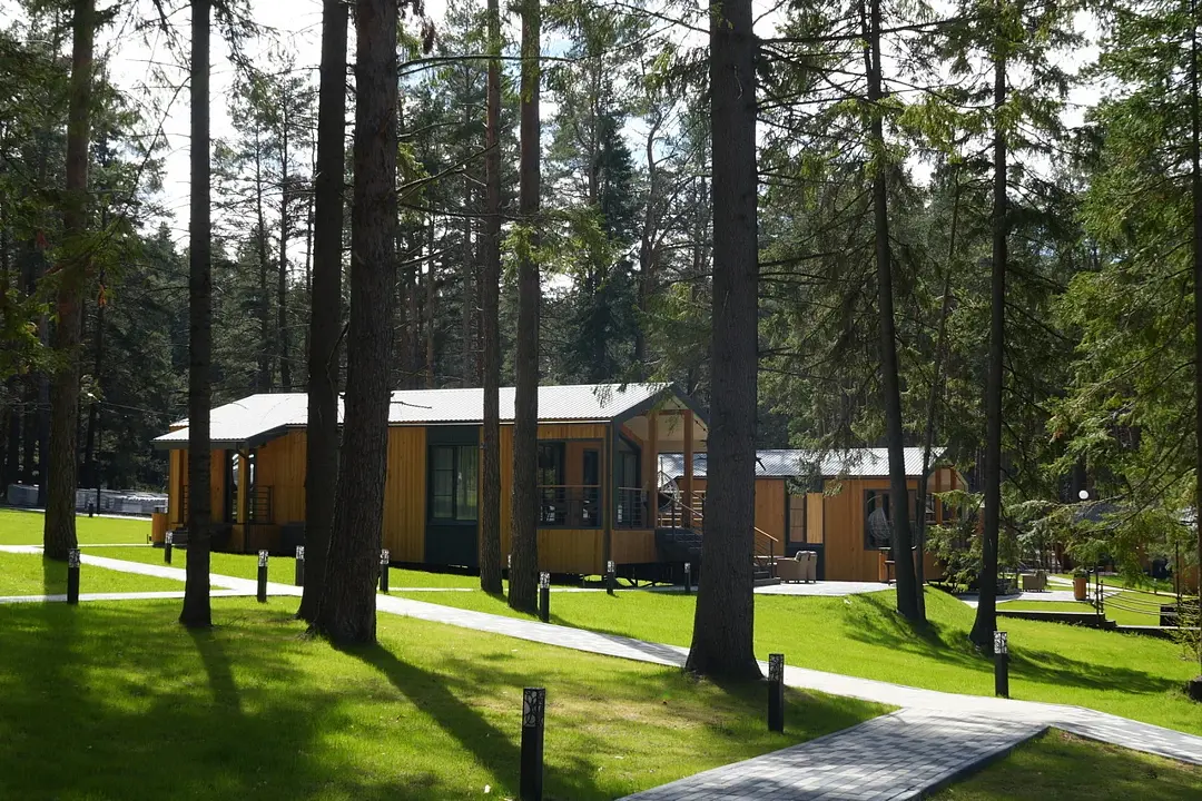 Заповедный лес, Свердловская область: фото 5