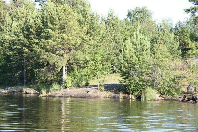 Сеновал, Республика Карелия: фото 5