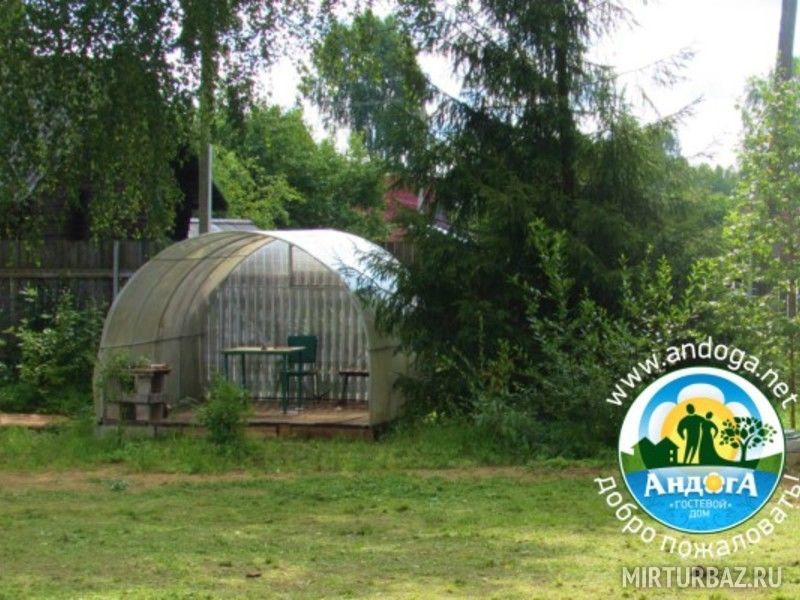 Андога, Вологодская область: фото 4