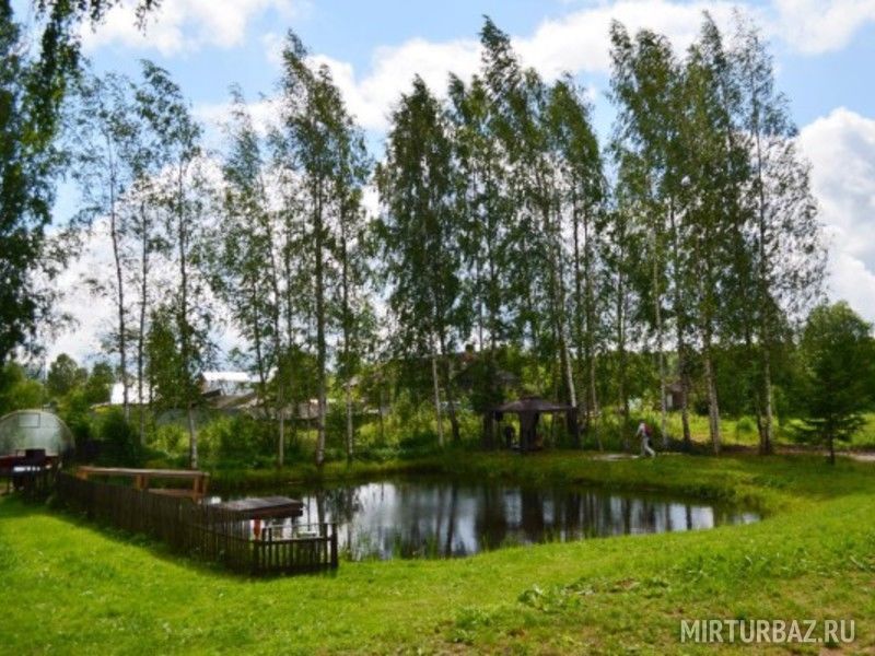 Андога, Вологодская область: фото 5