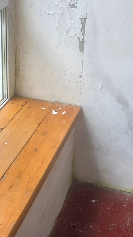 Фото из отзыва от 28.07.2025