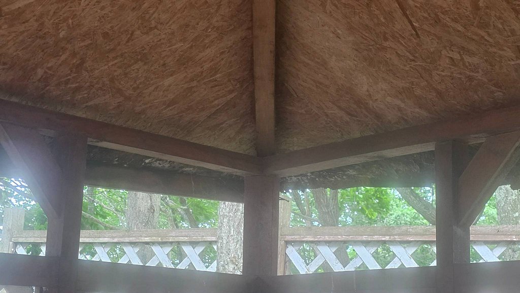 Фото из отзыва от 28.07.2025