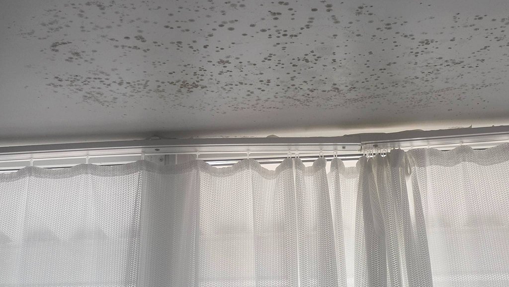 Фото из отзыва от 28.07.2025