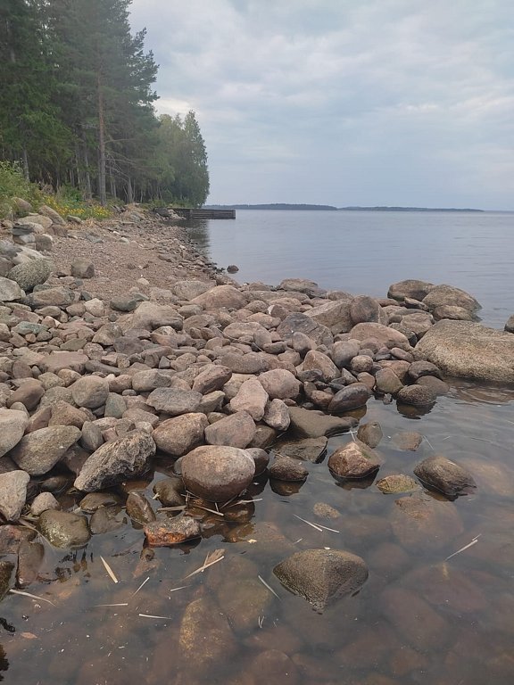 Фото из отзыва от 01.08.2025