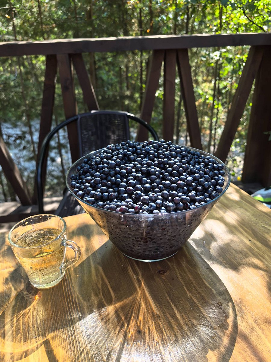 Фото 25 из отзыва о базе отдыха ALDI-Karelia