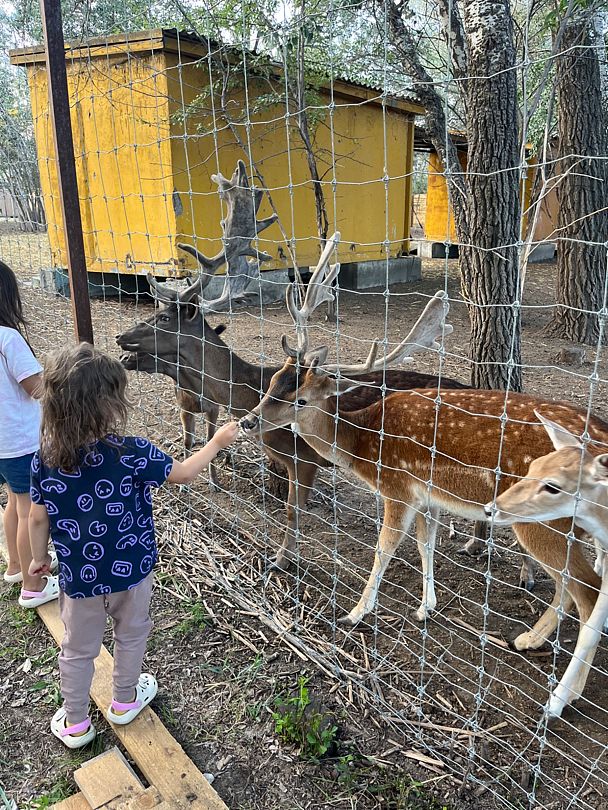 Фото 4 из отзыва о базе отдыха Донская Миля