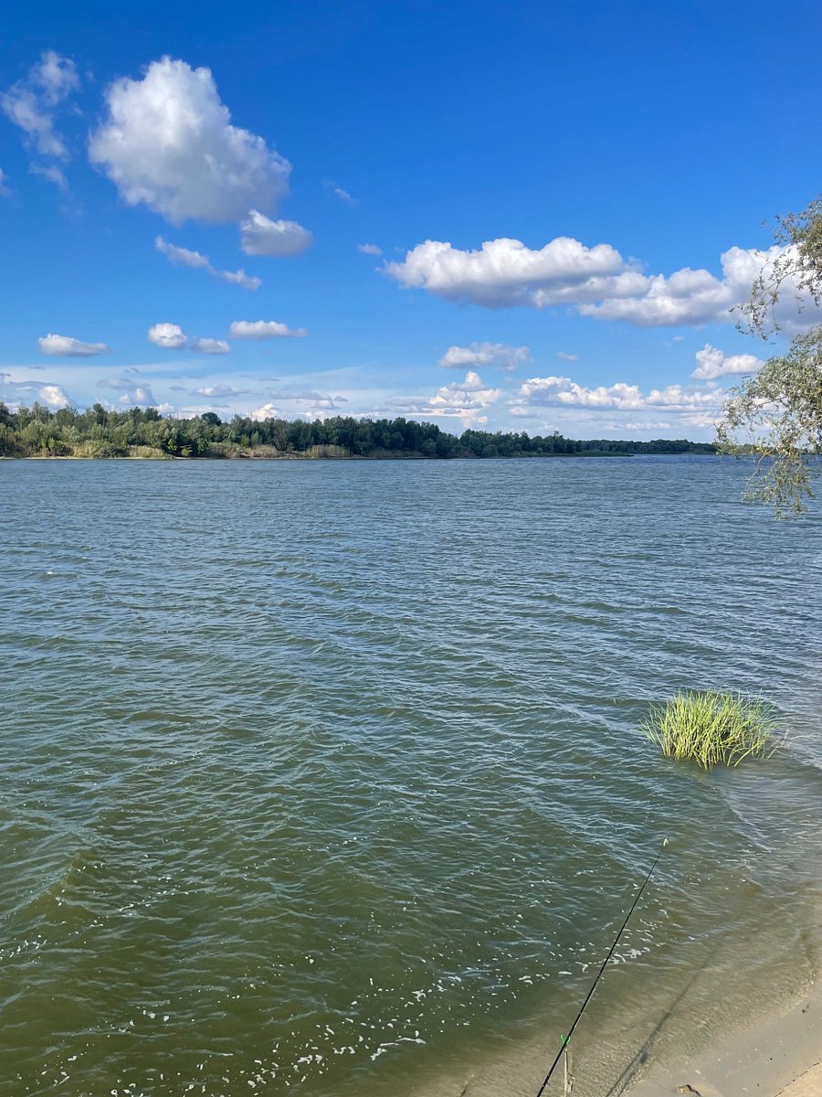 Фото 4 из отзыва о базе отдыха Дон