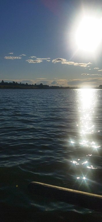 Фото из отзыва от 11.08.2025