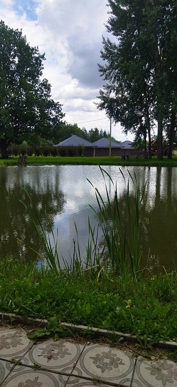 Фото из отзыва от 11.08.2025