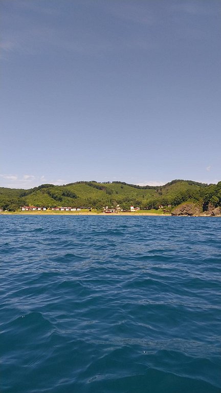 Фото из отзыва от 06.08.2025