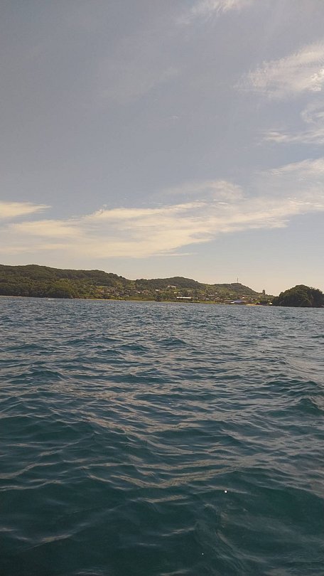 Фото 1 из отзыва о базе отдыха 27 Регион - Ливадия