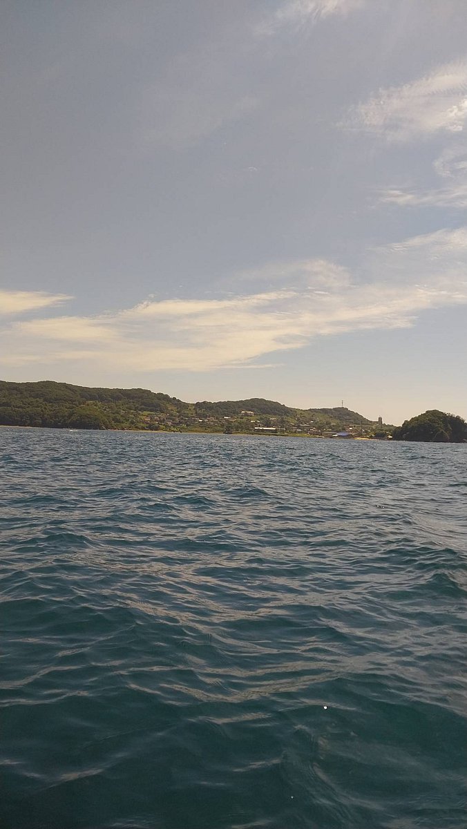 Фото 1 из отзыва о базе отдыха 27 Регион - Ливадия