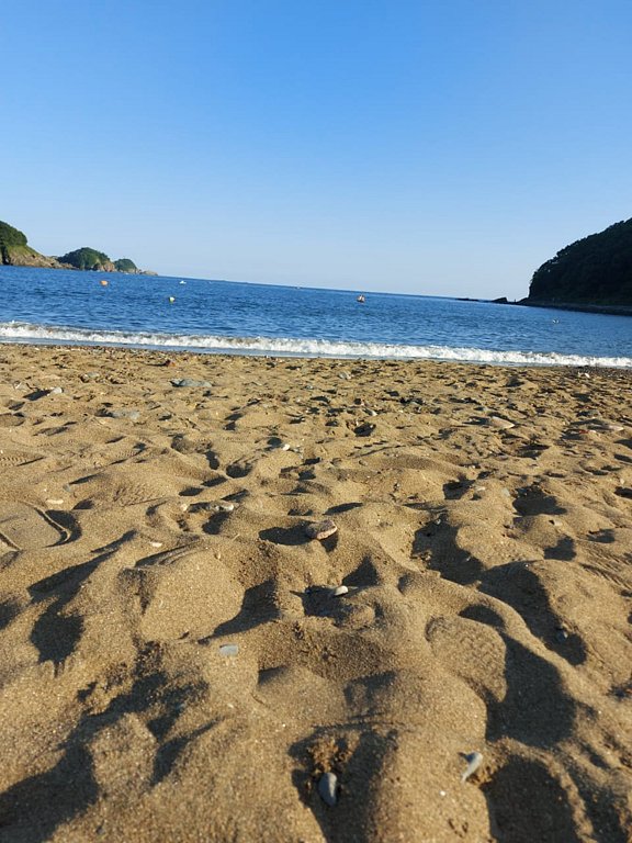 Фото из отзыва от 06.08.2025