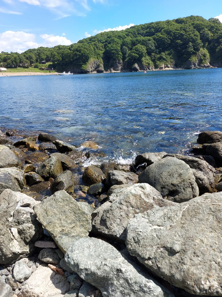 Фото 5 из отзыва о базе отдыха 27 Регион - Ливадия