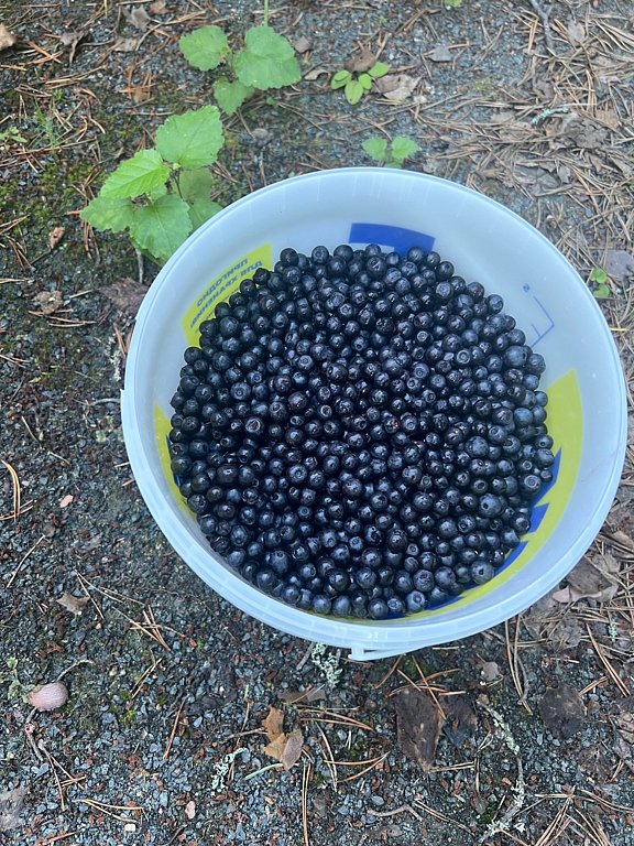 Фото из отзыва от 10.08.2025