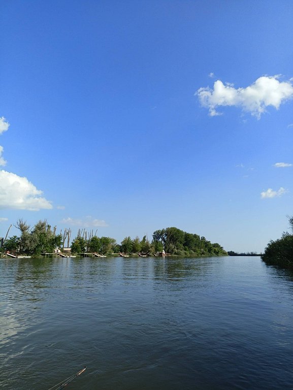 Фото из отзыва от 16.08.2025