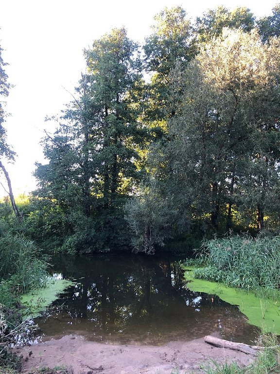 Фото из отзыва от 04.08.2025