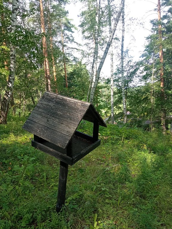 Фото из отзыва от 04.08.2025