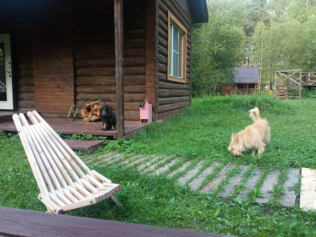 Фото из отзыва от 04.08.2025