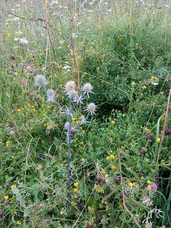 Фото из отзыва от 04.08.2025