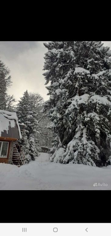 Хатипара Теберда, Республика Карачаево-Черкесия: фото 2