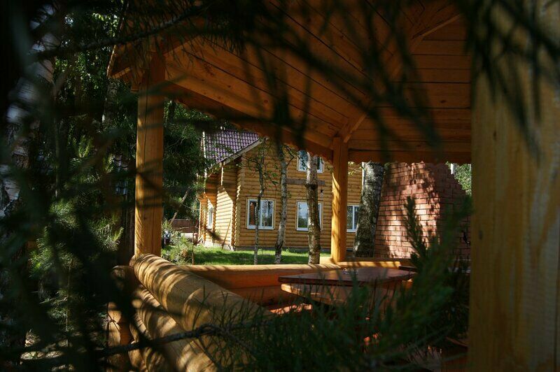 Медуша, Тверская область: фото 4