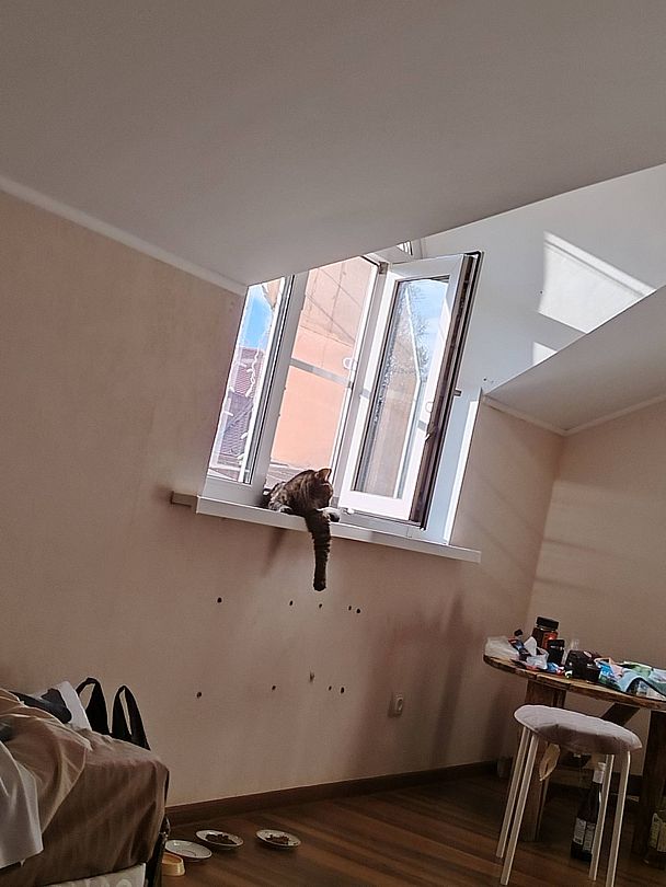 Фото 1 из отзыва о загородном комплексе Аракуль