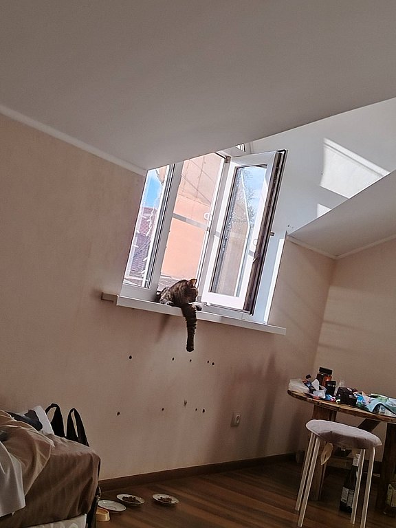 Фото из отзыва от 13.08.2025