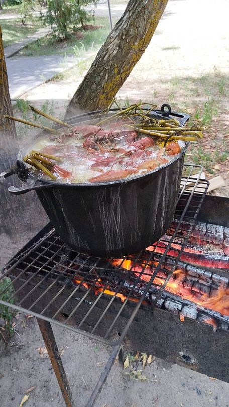 Фото 4 из отзыва о базе отдыха Дон