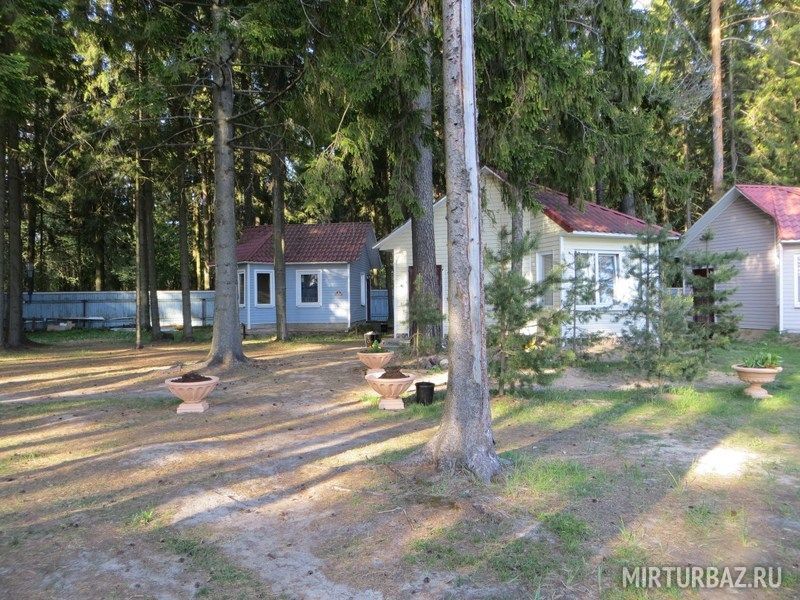 База отдыха Солнечный бор, Вологодская область, Череповецкий район Череповец