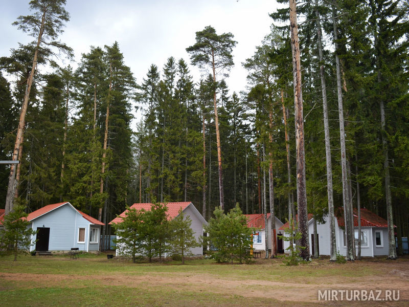 Солнечный бор, Вологодская область: фото 3