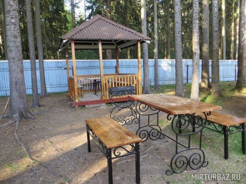 Солнечный бор, Вологодская область: фото 4