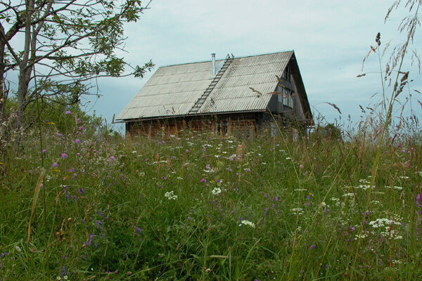 Территория | Типиницы, Республика Карелия