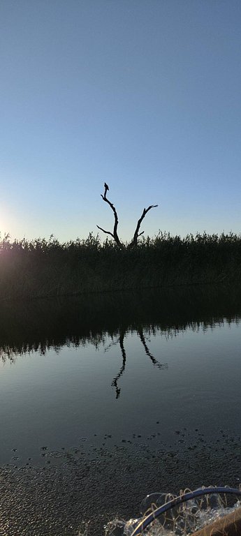 Фото из отзыва от 11.08.2025